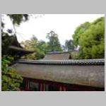 DSCN1137.JPG